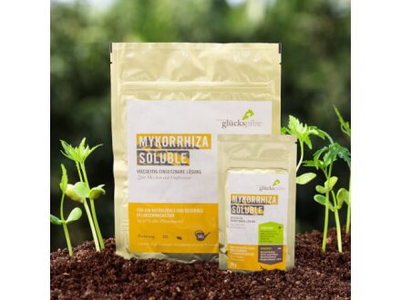 Mykorrhiza | Soluble | Pflanzendünger durch Symbiose